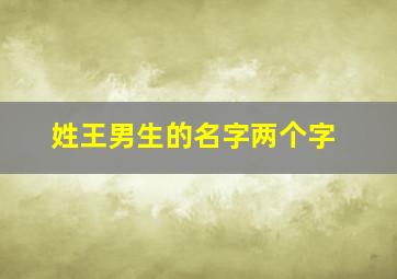 姓王男生的名字两个字