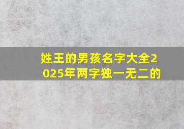 姓王的男孩名字大全2025年两字独一无二的