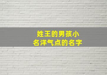 姓王的男孩小名洋气点的名字