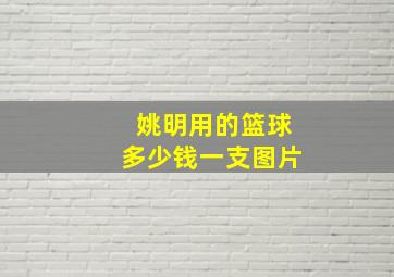 姚明用的篮球多少钱一支图片