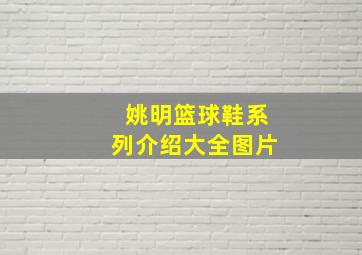 姚明篮球鞋系列介绍大全图片