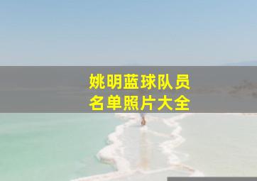 姚明蓝球队员名单照片大全