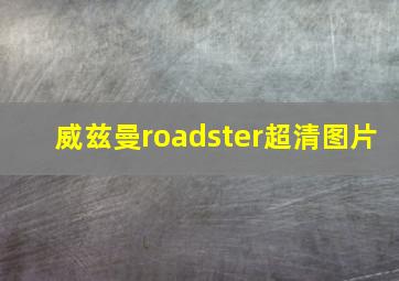 威兹曼roadster超清图片