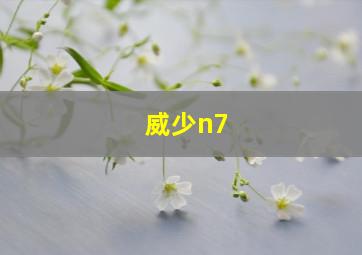 威少n7