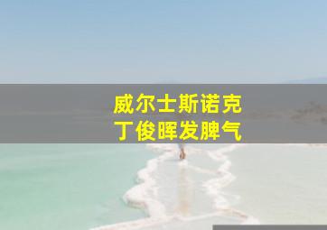 威尔士斯诺克丁俊晖发脾气