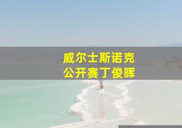 威尔士斯诺克公开赛丁俊晖