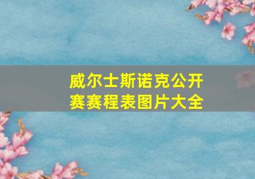 威尔士斯诺克公开赛赛程表图片大全