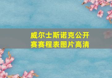 威尔士斯诺克公开赛赛程表图片高清