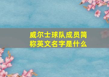 威尔士球队成员简称英文名字是什么