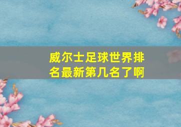 威尔士足球世界排名最新第几名了啊