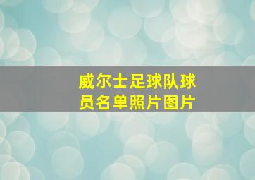 威尔士足球队球员名单照片图片