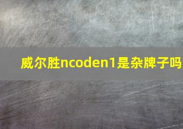 威尔胜ncoden1是杂牌子吗