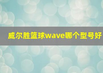 威尔胜篮球wave哪个型号好