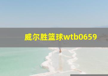 威尔胜篮球wtb0659