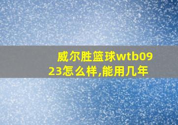 威尔胜篮球wtb0923怎么样,能用几年