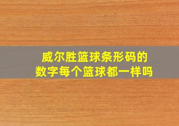 威尔胜篮球条形码的数字每个篮球都一样吗