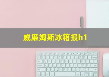 威廉姆斯冰箱报h1