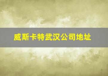 威斯卡特武汉公司地址