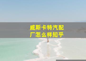 威斯卡特汽配厂怎么样知乎