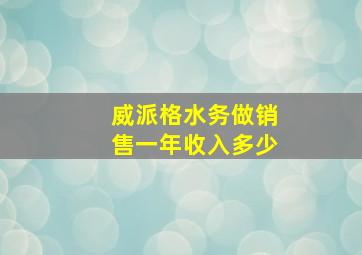 威派格水务做销售一年收入多少