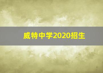 威特中学2020招生