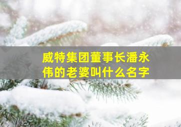 威特集团董事长潘永伟的老婆叫什么名字