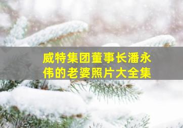 威特集团董事长潘永伟的老婆照片大全集