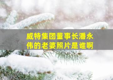 威特集团董事长潘永伟的老婆照片是谁啊