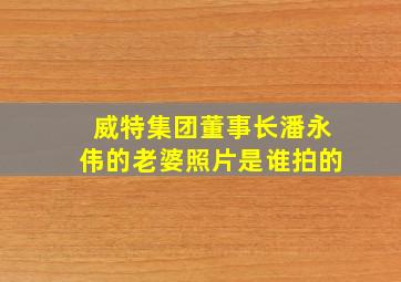 威特集团董事长潘永伟的老婆照片是谁拍的