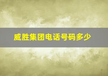 威胜集团电话号码多少