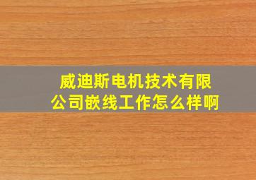 威迪斯电机技术有限公司嵌线工作怎么样啊