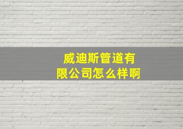 威迪斯管道有限公司怎么样啊