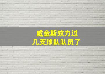 威金斯效力过几支球队队员了