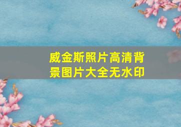 威金斯照片高清背景图片大全无水印