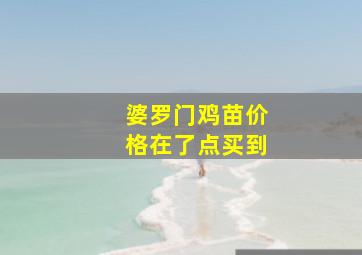 婆罗门鸡苗价格在了点买到