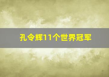 孔令辉11个世界冠军