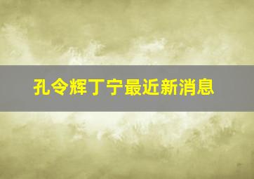 孔令辉丁宁最近新消息