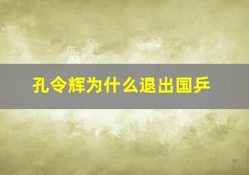 孔令辉为什么退出国乒