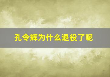 孔令辉为什么退役了呢