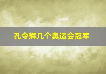 孔令辉几个奥运会冠军