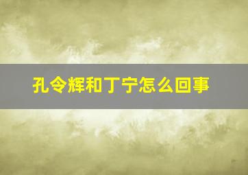 孔令辉和丁宁怎么回事