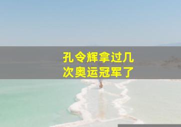 孔令辉拿过几次奥运冠军了