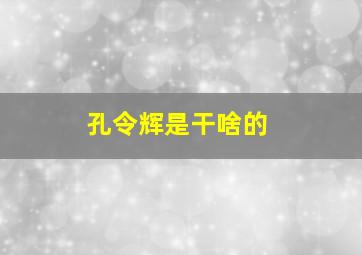 孔令辉是干啥的