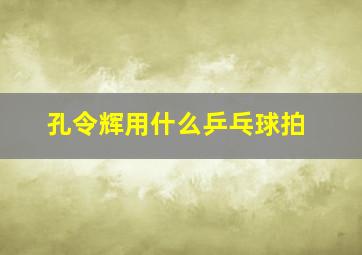 孔令辉用什么乒乓球拍