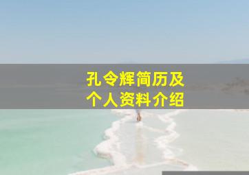 孔令辉简历及个人资料介绍