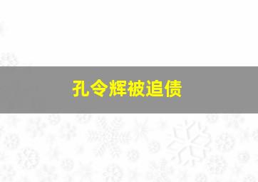 孔令辉被追债