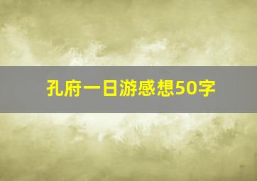 孔府一日游感想50字