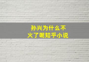 孙兴为什么不火了呢知乎小说