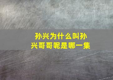 孙兴为什么叫孙兴哥哥呢是哪一集