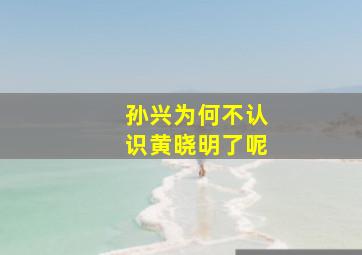 孙兴为何不认识黄晓明了呢